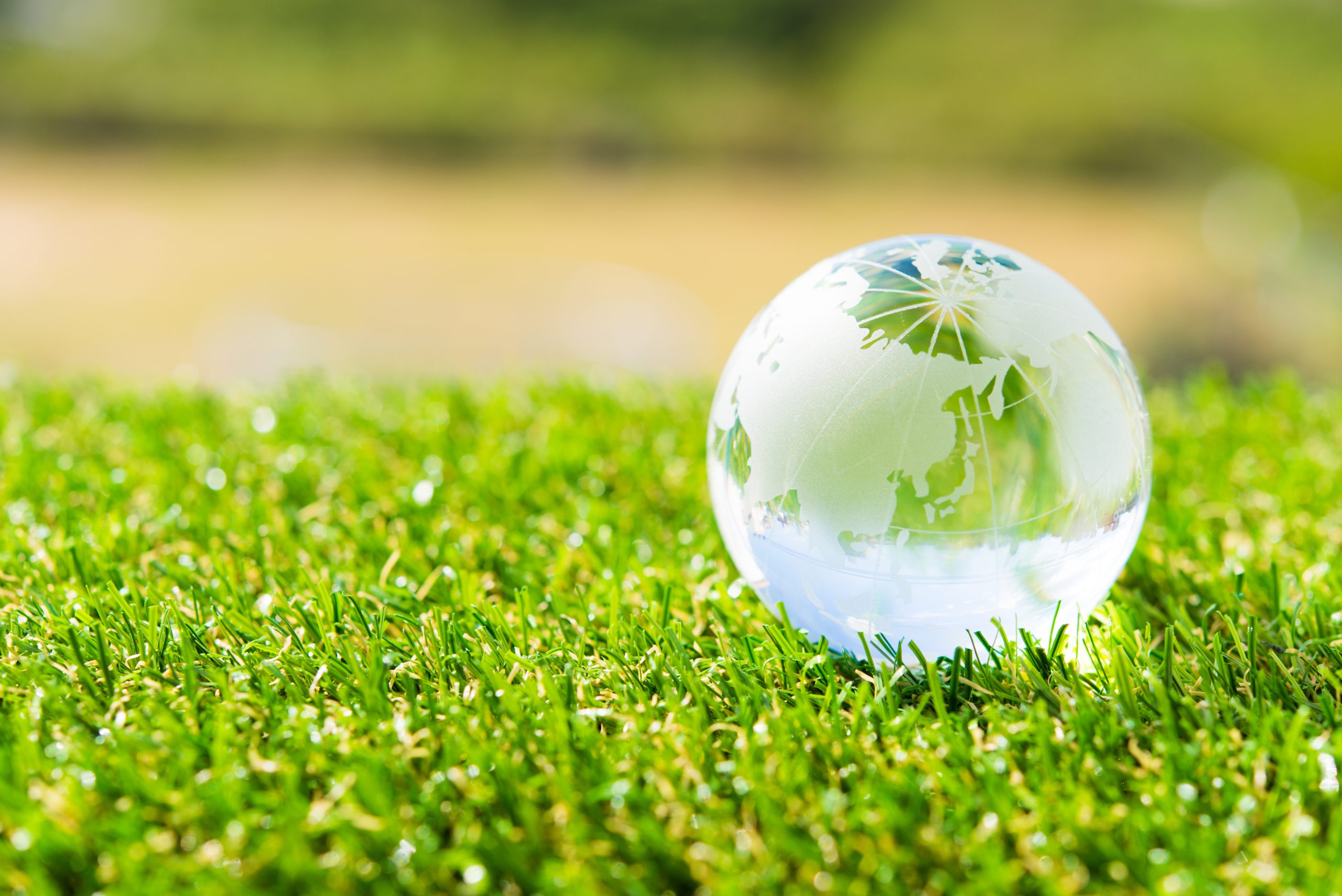 バイオディーゼル燃料を使用したトラック走行実証に向け、実証コンソーシアムに参画